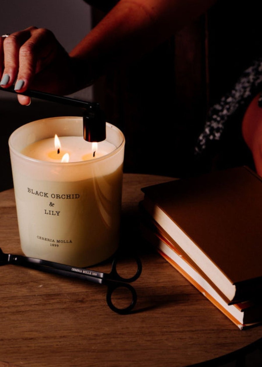 Accessories Cereria Mollá 1899 | Cereria Molla 21Oz. Candle - Black Orchid & Lily